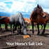 Horse Licking Salt - 5 lbs | HIMALAYAN NATURE